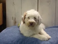 processed/65c928ed-1942-419d-bcc6-8d63ded022fd/listing/84a44a72-a3e1-4a5d-a5dc-87d811fad9d7/5ce6072b-f27e-4270-aaca-fca3505a9e88