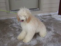 processed/65c928ed-1942-419d-bcc6-8d63ded022fd/listing/9074b62d-abb3-4de8-8c7f-088d689c22c1/574b2d84-2a9e-4404-a1db-f5f7ffb1e3aa