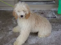 processed/65c928ed-1942-419d-bcc6-8d63ded022fd/listing/9074b62d-abb3-4de8-8c7f-088d689c22c1/87d78bdd-2e6a-464e-bff1-193c580af883