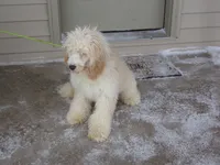 processed/65c928ed-1942-419d-bcc6-8d63ded022fd/listing/9074b62d-abb3-4de8-8c7f-088d689c22c1/fe631ec5-2781-47cb-9815-c2c950b42d25