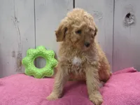 processed/65c928ed-1942-419d-bcc6-8d63ded022fd/listing/a7acc63d-c9de-4d14-b65b-5ff6f44114f9/a2f6ef65-ea38-4354-99ea-d5140ef233d1