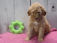 processed/65c928ed-1942-419d-bcc6-8d63ded022fd/listing/a7acc63d-c9de-4d14-b65b-5ff6f44114f9/d7ed2eeb-8d5e-42d3-8857-85b3a6534f47