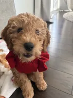 processed/65ddc3e9-dd3e-48f0-9427-0ee9da972eee/listing/4d23e254-c9aa-4c64-b285-5e27b8e46825/19cef52c-d334-4ce0-abf6-79de29ca5a9c