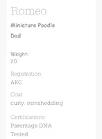 processed/65ddc3e9-dd3e-48f0-9427-0ee9da972eee/listing/4d23e254-c9aa-4c64-b285-5e27b8e46825/21aeb013-93fb-43ce-952c-ce58c49914e4