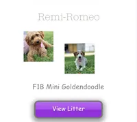 processed/65ddc3e9-dd3e-48f0-9427-0ee9da972eee/listing/4d23e254-c9aa-4c64-b285-5e27b8e46825/67cb494d-846a-43f1-8c66-9315bbc53400