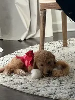 processed/65ddc3e9-dd3e-48f0-9427-0ee9da972eee/listing/4d23e254-c9aa-4c64-b285-5e27b8e46825/68034741-14a1-42ea-936c-9df7ec57cc6c