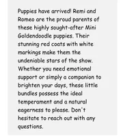 processed/65ddc3e9-dd3e-48f0-9427-0ee9da972eee/listing/4d23e254-c9aa-4c64-b285-5e27b8e46825/c6d20443-f9a8-482d-aaec-30a92a0d3ba6