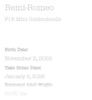 processed/65ddc3e9-dd3e-48f0-9427-0ee9da972eee/listing/4d23e254-c9aa-4c64-b285-5e27b8e46825/e6c61767-92e3-43c8-81aa-3538acc95745