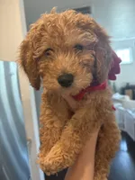 processed/65ddc3e9-dd3e-48f0-9427-0ee9da972eee/listing/4d23e254-c9aa-4c64-b285-5e27b8e46825/f63e0f8d-e70b-4c16-931b-1b55348748c0