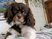 processed/65ec2557-b52e-4b5f-87cf-b0b557b9ae58/facility/27497638-0574-4776-96bb-6633ad115d27