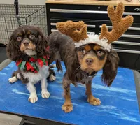 processed/65ec2557-b52e-4b5f-87cf-b0b557b9ae58/facility/5e402e1b-4bb7-47cb-8619-f7856ca5c034