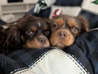 processed/65ec2557-b52e-4b5f-87cf-b0b557b9ae58/facility/b6bca555-a6e7-46fd-865a-93eedf4e384b