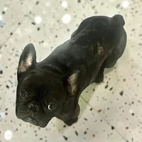 Luna , a female French Bulldog and Pug for sale in Salisbury, NC – 6 of 6