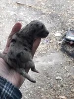 processed/65ef2ba3-a18c-4f2d-950b-4bf0996ab1fd/listing/2bf65d80-75c6-4a5c-8905-986f5eb21196/0552d40b-d1fa-4c3a-91f6-f7f6485cdc4d