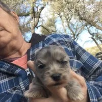 processed/65ef2ba3-a18c-4f2d-950b-4bf0996ab1fd/listing/2bf65d80-75c6-4a5c-8905-986f5eb21196/dc3027e4-2eaf-4d21-8b5c-fe96ff18a069