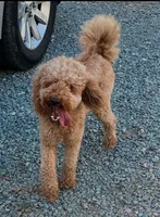 processed/65f33237-b885-4dce-b676-306881d9db50/facility/22dc3c3b-21b6-48b0-8de1-5a54995616ca