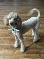 processed/65f33237-b885-4dce-b676-306881d9db50/facility/9cc03aaa-c85b-414a-8464-a709d4434561