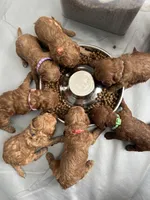 processed/65f33237-b885-4dce-b676-306881d9db50/facility/ac9139de-092d-4bec-b037-8e55d1f71ee5