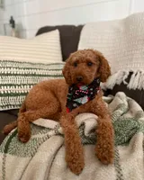 processed/65f33237-b885-4dce-b676-306881d9db50/facility/bac02e1d-e97d-4c3f-9c18-79f1dee07aa9