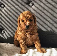 processed/6604e29e-98f3-40a4-a39f-18e1418a35c6/facility/f718990e-be86-410d-b03f-1bc43af2486b