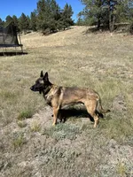 processed/661e2bc5-c114-49c9-aefa-337f7d1ce14b/facility/1c1ac734-9920-45bf-aa6d-26293a05d543