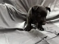 processed/661e2bc5-c114-49c9-aefa-337f7d1ce14b/facility/37ce348a-80c5-4c7a-b398-a5e8c52fb111