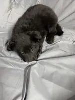 processed/661e2bc5-c114-49c9-aefa-337f7d1ce14b/facility/54722c51-f168-4645-b6b0-e921397b6d1c