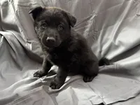 processed/661e2bc5-c114-49c9-aefa-337f7d1ce14b/facility/74d5e63b-9991-40ef-bd9e-2a94a66b5181