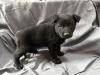 processed/661e2bc5-c114-49c9-aefa-337f7d1ce14b/facility/92246c60-23eb-470d-9679-44aed0b9a592