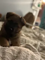 processed/661e2bc5-c114-49c9-aefa-337f7d1ce14b/facility/ef4f1400-8270-4934-8752-4555614403a7