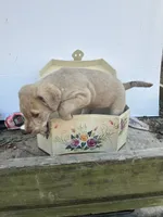 processed/662b47e3-8b04-46af-9c94-0c70f3d7630b/listing/2eb34957-8e40-4351-95ce-41ccd1d286fb/919fe357-a888-485f-b1b4-dca873a9c231