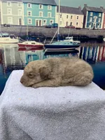 processed/662b47e3-8b04-46af-9c94-0c70f3d7630b/listing/2eb34957-8e40-4351-95ce-41ccd1d286fb/e426d04b-2c82-4c7e-a118-f582083f0368