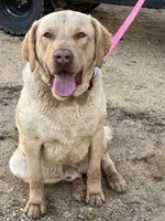 processed/662b47e3-8b04-46af-9c94-0c70f3d7630b/listing/8dc46357-626d-4939-bce7-7e806b53e121/2923ee20-e3b6-4133-83a1-e504f701946b