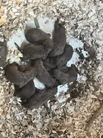 processed/662b47e3-8b04-46af-9c94-0c70f3d7630b/listing/8dc46357-626d-4939-bce7-7e806b53e121/41dcae64-cf41-4fbe-b40b-083c3e811331