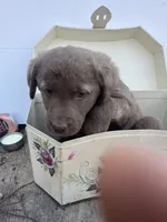 processed/662b47e3-8b04-46af-9c94-0c70f3d7630b/listing/b211e63d-cdde-4f65-af82-2e7952b827b4/f74aa870-4da5-437e-a18f-3a9e974b0818