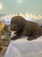 processed/662b47e3-8b04-46af-9c94-0c70f3d7630b/listing/d04c84ae-f7e9-4ace-bbf0-9eb4d199b1b0/6c02e115-ce21-4acc-a76d-2d93213cb0d5