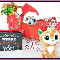 processed/66403568-45eb-4c40-883f-cbda3b5a5967/facility/11606a49-ff72-49b0-8176-40af39756aba