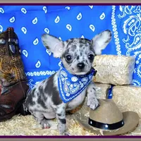 processed/66403568-45eb-4c40-883f-cbda3b5a5967/facility/53593280-9860-44df-b489-33be2d45c982