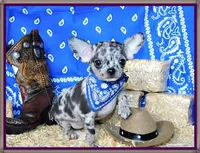 processed/66403568-45eb-4c40-883f-cbda3b5a5967/facility/53593280-9860-44df-b489-33be2d45c982