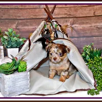 processed/66403568-45eb-4c40-883f-cbda3b5a5967/facility/623814ff-018d-4cc2-b31f-cf29bed34092