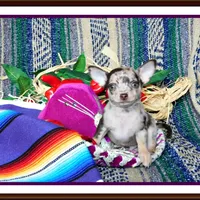 processed/66403568-45eb-4c40-883f-cbda3b5a5967/facility/6e4aba91-cceb-446d-b377-8605873db8e3