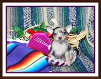 processed/66403568-45eb-4c40-883f-cbda3b5a5967/facility/6e4aba91-cceb-446d-b377-8605873db8e3