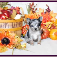 processed/66403568-45eb-4c40-883f-cbda3b5a5967/facility/7145779a-1efc-496b-80d2-145ddba99e0e