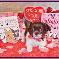 processed/66403568-45eb-4c40-883f-cbda3b5a5967/facility/7324a9c9-24c5-4efc-8246-b43de168d291