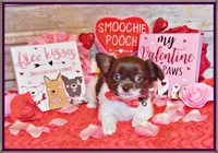 processed/66403568-45eb-4c40-883f-cbda3b5a5967/facility/7324a9c9-24c5-4efc-8246-b43de168d291