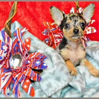 processed/66403568-45eb-4c40-883f-cbda3b5a5967/facility/a24e5d60-a6e0-4534-80ed-cb6e42083b67