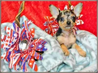 processed/66403568-45eb-4c40-883f-cbda3b5a5967/facility/a24e5d60-a6e0-4534-80ed-cb6e42083b67