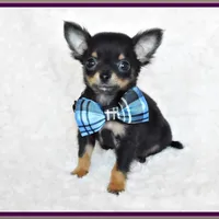 processed/66403568-45eb-4c40-883f-cbda3b5a5967/facility/b2c5bd1e-01e5-44cc-b28f-0bd115605c97