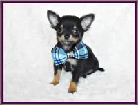 processed/66403568-45eb-4c40-883f-cbda3b5a5967/facility/b2c5bd1e-01e5-44cc-b28f-0bd115605c97