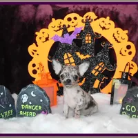 processed/66403568-45eb-4c40-883f-cbda3b5a5967/facility/fbf79e07-878b-4eb2-beac-a79cd645ce1f